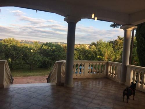 Villa Di Nonno Remo