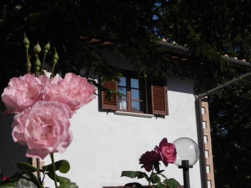 Bed & Breakfast Boscodisotto
