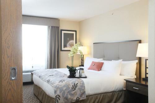 Hotel Pomeroy Inn & Suites At Olds College