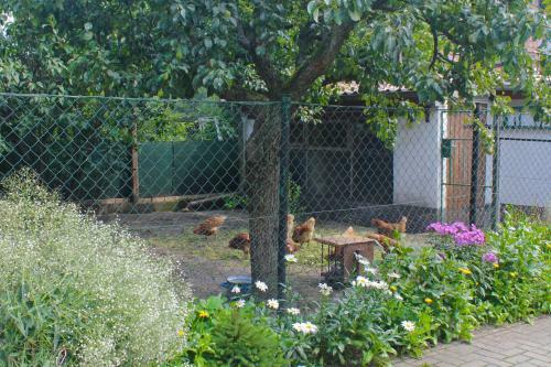 Apartamento An Der Hainm�hle