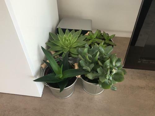 Apartamento Stilvolles Appartement