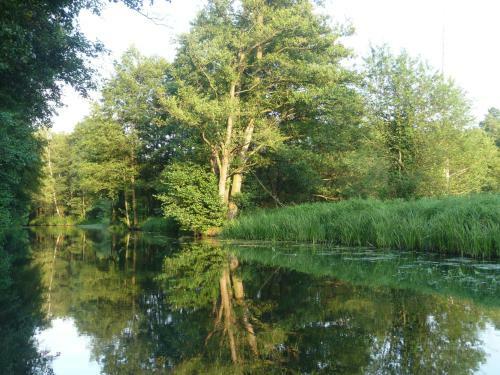 Hostal Pension Am Holzgraben