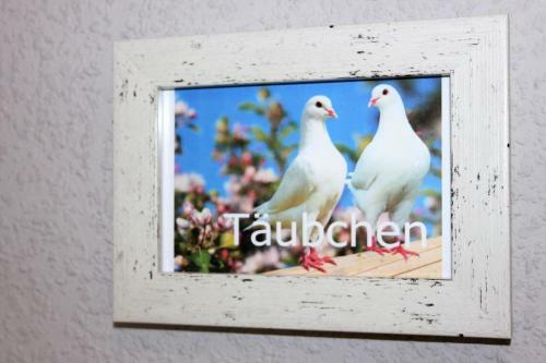 Bed & Breakfast Ferienzimmer T�ubchen