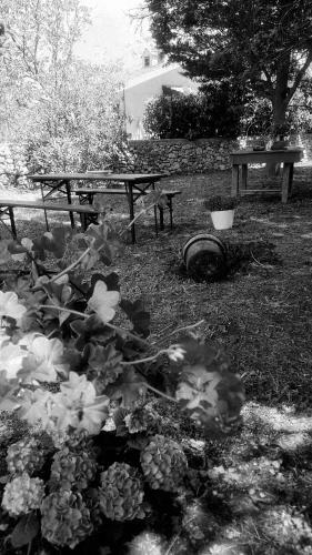 Hostal La Dimora Di Nonno Nuccio