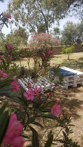 Hostal La Dimora Di Nonno Nuccio