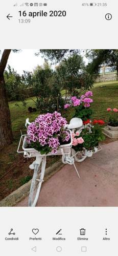 Hostal La Dimora Di Nonno Nuccio