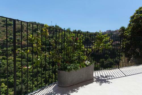 Apartamento Locazione Turistica A Ibla