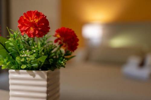 Hostal Terra Di Venere Inn