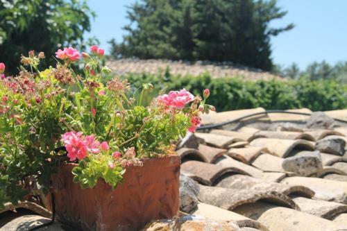 Holiday Villa Gelso - Ragusa