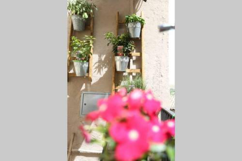 Apartamento A Timpa Ro Nannu - Appartamento 20