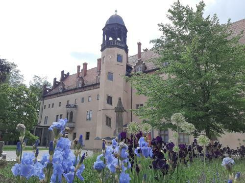Apartamento Fewo Rosenbl�te Am Stadtpark