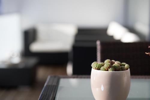 Apartamento Fewo Speicherquartier