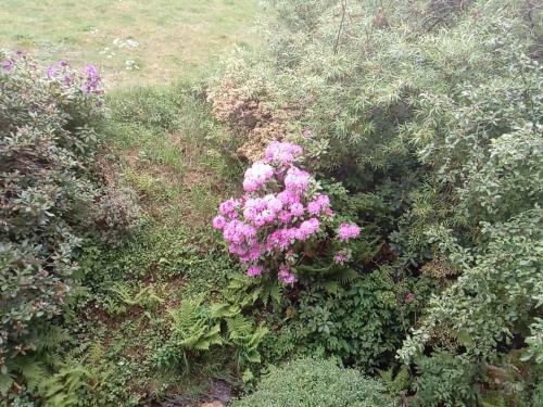 Apartamento Ferienwohnung Schmallenberg