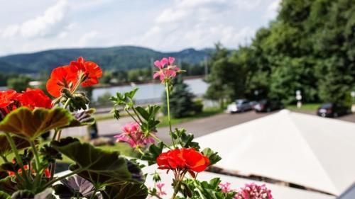 Hotel Estricher Hof