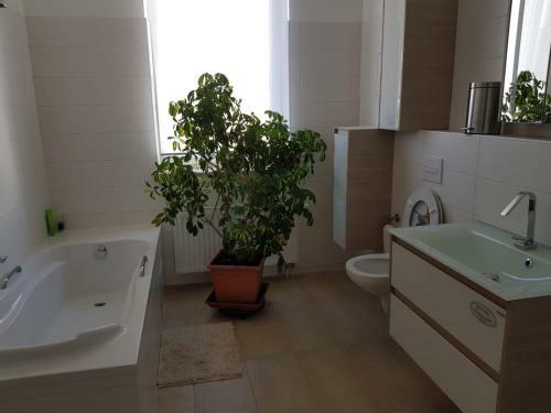 Apartamento G�stewohnung Alt Salbke Mit K�che