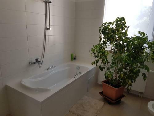 Apartamento G�stewohnung Alt Salbke Mit K�che