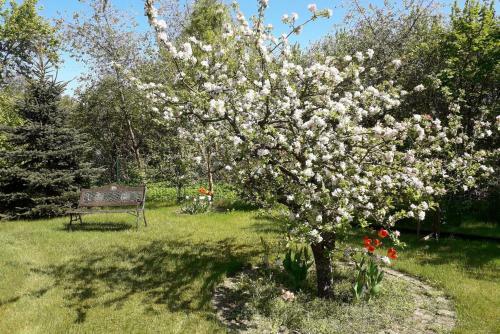 Apartamento Holiday Flat Malchow - Dms02110a-p