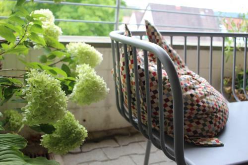 Apartamento Zuhause Mit Berg-und Bodenseesicht