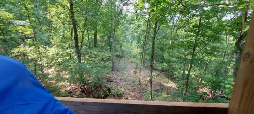 Treetopper 2 - Fully Set Up Tent Site! - Bbq - Firepit - Outdoor Pool - Hiking