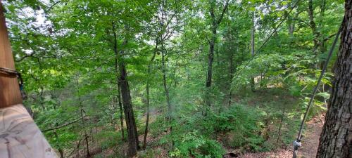Treetopper 2 - Fully Set Up Tent Site! - Bbq - Firepit - Outdoor Pool - Hiking
