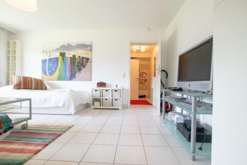 Tolstov-hotels Big Room Apartment