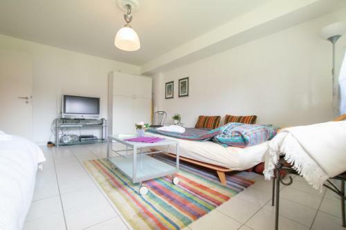 Tolstov-hotels Big Room Apartment