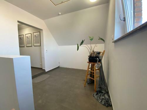 Apartment Meine