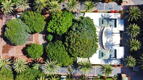 Apartamento Studio Tr Has A Balcony, Pool And Nice View, Puerto de La Cruz