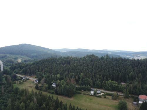 Hotel Gasthof Pension Haus Waldfrieden