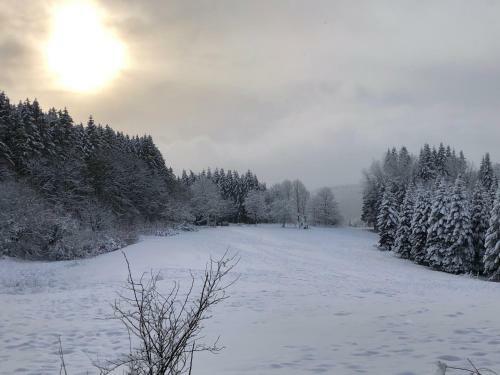 Ferienhaus K�stelnest