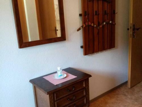 Mountain Apartment In St Blasien With Balcony