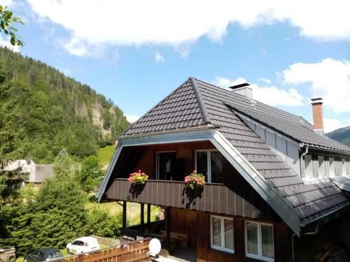 Mountain Apartment In St Blasien With Balcony
