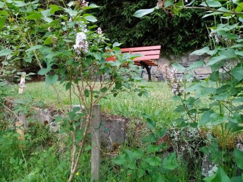Mountain Apartment In St Blasien With Balcony