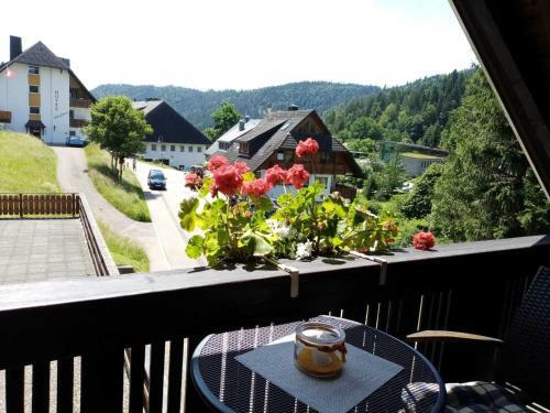 Mountain Apartment In St Blasien With Balcony