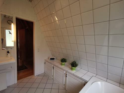 Ferienhaus Erlenwald Mit Pelletofen Und Sauna