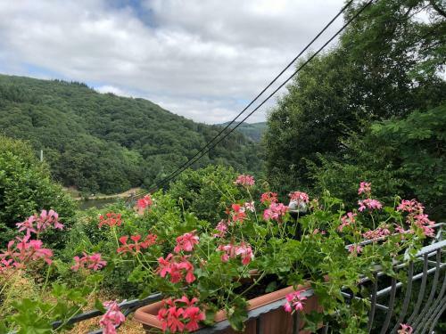 Apartamento Haus Monika In Saarh�lzbach