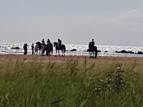 Oasi Scala Dei Turchi