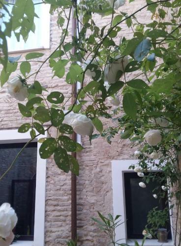 Bed & Breakfast Toscanini Rooms