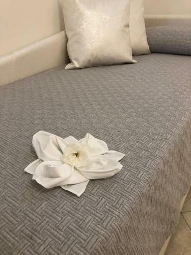Apartamento Appartamento Nonno Francesco