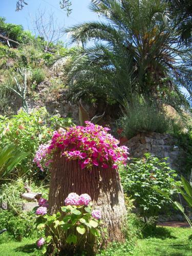Apartamento Suite I Limoni