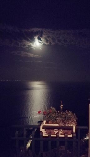 Apartamento Loggetta19