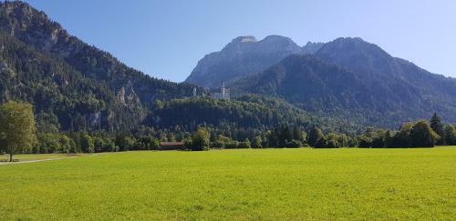 Hostal Hotel Waldmann