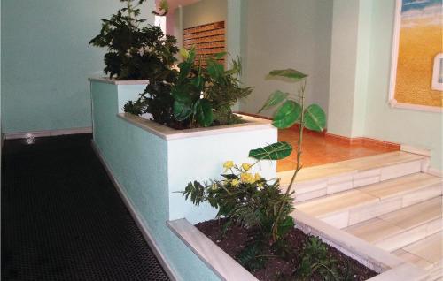 Apartment Torrevieja 39