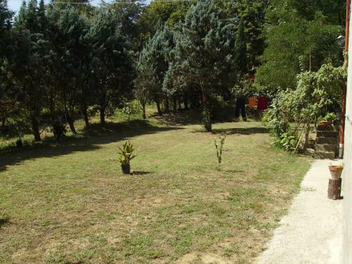 Agroturismo Agriturismo La Querce