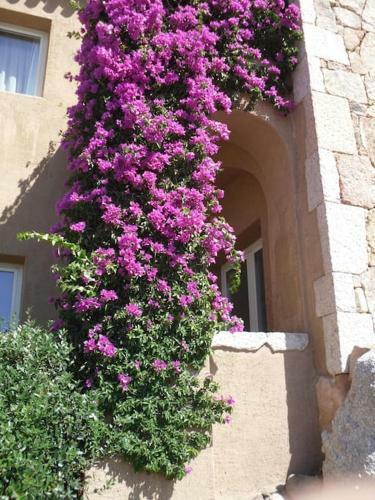 Apartamento Residence Sherden, Appartamento Spiaggia Bianca