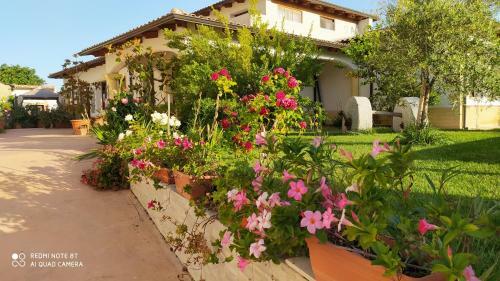Bed & Breakfast I Giganti