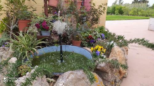 Bed & Breakfast I Giganti
