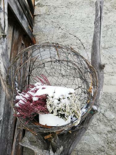 Bed & Breakfast Zimmer - Hinterwalderhof