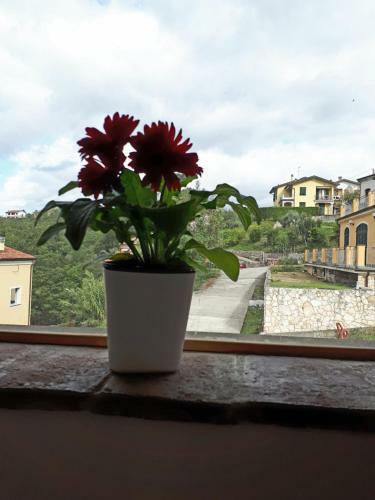 Villa Il Debbio