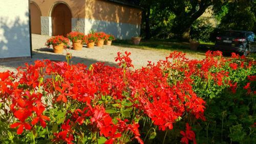 Agroturismo Punta Dei Lecci